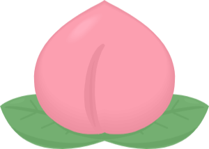 渡辺康仁のプロフィール画像