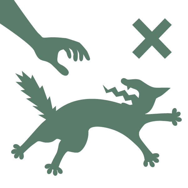 ねこを追いかけないでくださいのアイコン